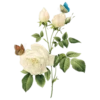 Flowers 16
