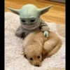 baby yoda 18