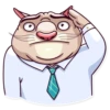 Big Boss Cat 21
