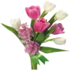 Flowers 19