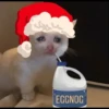 Sad Cats 20