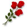 Flowers 20