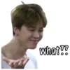 BTS derp 21