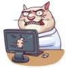 Big Boss Cat 22