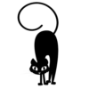 Black Love Cat 15