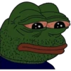 The Frog pack 21