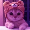 MEOW MEOW 22