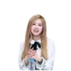 kpopfan 16