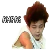 BTS derp 22