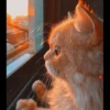 MEOW MEOW 23