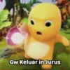 video 23
