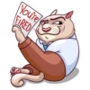 Big Boss Cat 24