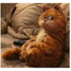 Garfield 23