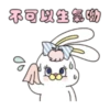 不可以生物
3
00