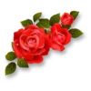 Flowers 28