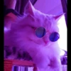 MEOW MEOW 28