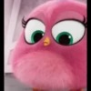 Angry Birds 29