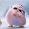 Angry Birds 30