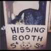 Sad Cats 25