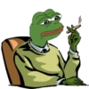 The Frog pack 28