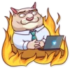 Big Boss Cat 26
