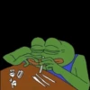 The Frog pack 29