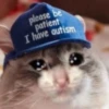 Sad Cats 28