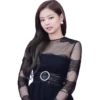 Blackpink_all_songs 28