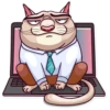 Big Boss Cat 28