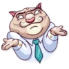 Big Boss Cat 29