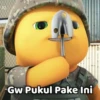 video 29