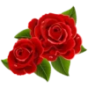 Flowers 30
