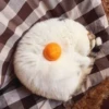 Tomato's friendo no.1 13
