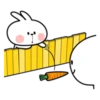 Spoiled rabbit 30
