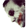 JokeR 7