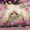 Cats love 6