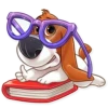 The Secret Life of Pets 6