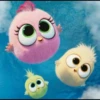 Angry birds 5