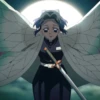 shinobu 8