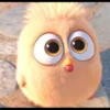Angry birds 6