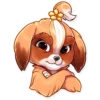 The Secret Life of Pets 9