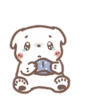 bearsplease 5