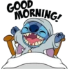 Stitch 6