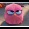Angry birds 7