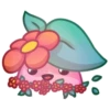 Applepeach dude 6