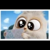 Angry birds 8