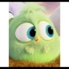 Angry birds 9