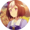 Uma Musume Pretty Derby 12