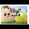 Angry birds 10