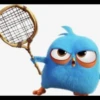 Angry birds 11
